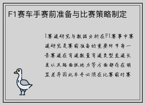 F1赛车手赛前准备与比赛策略制定